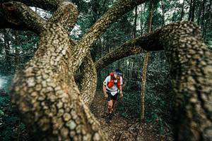 BIB: 
                            <button type="button" onclick="openModal(25393281)" class="btn btn-primary btn-sm float-right btn-popup" data-toggle="modal" data-target=".modal-high-quality">
                        <i class="fas fa-shopping-cart"></i> Add to Cart
                    </button>
                                            <button type="button" onclick="isThisMe(25393281, true)" class="btn btn-success btn-sm float-right btn-popup btn-isme hidden" data-toggle="tooltip" data-placement="bottom" title="นี่คือรูปของคุณใช่ไหม คลิกที่นี่เพื่อเอาเข้าอัลบั้ม">
                        <i class="fas fa-plus"></i> Add to album
                    </button>
                    <button type="button" onclick="isThisMe(25393281, false)" class="btn btn-warning btn-sm float-right btn-popup btn-isnotme hidden">
                        <i class="fas fa-ban"></i> Remove from album
                    </button>